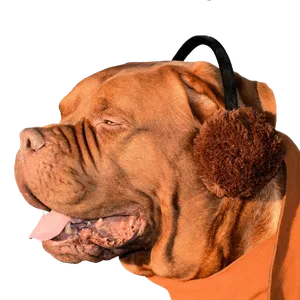 noise cancelling bluetooth earmuffs